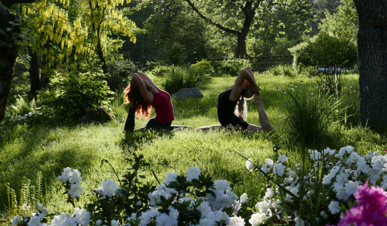 Międzynarodowy Dzień Jogi