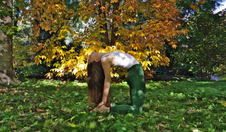 Kurs Początkujący PLUS